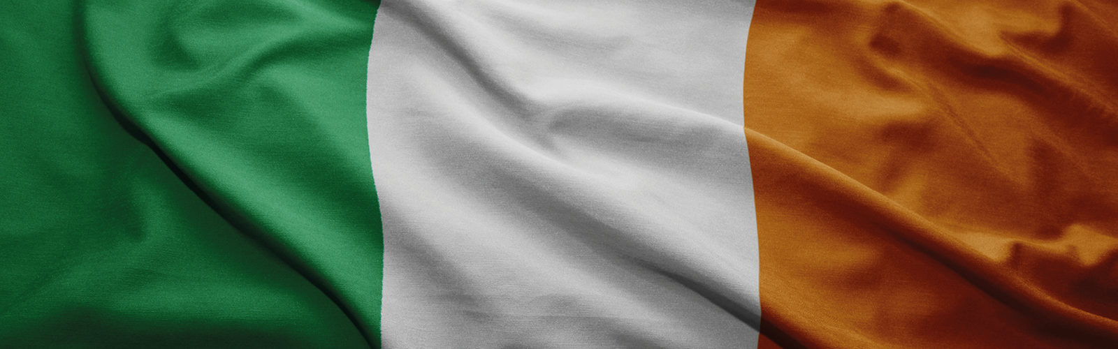 cipp_page-banner_irish basic-irish advanced_may2016.jpg