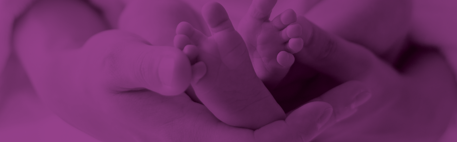 statutory payments update and challenges_web banner_2017.png