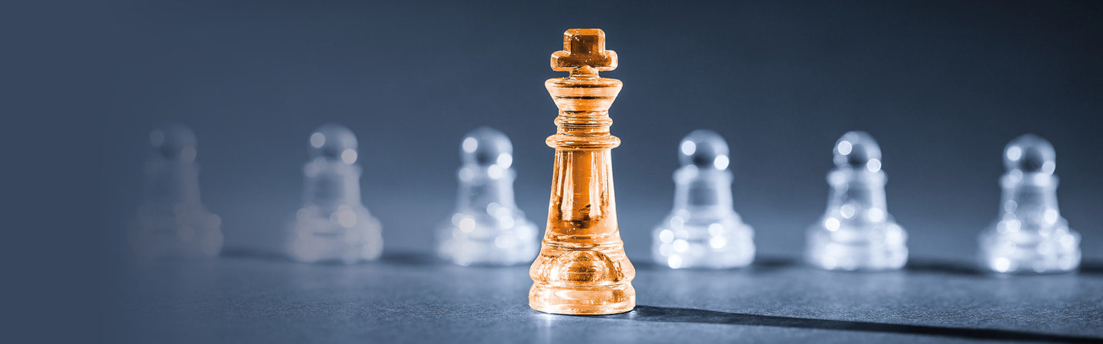 16.11.03 Web-Banner_policy hub_nov2016.jpg