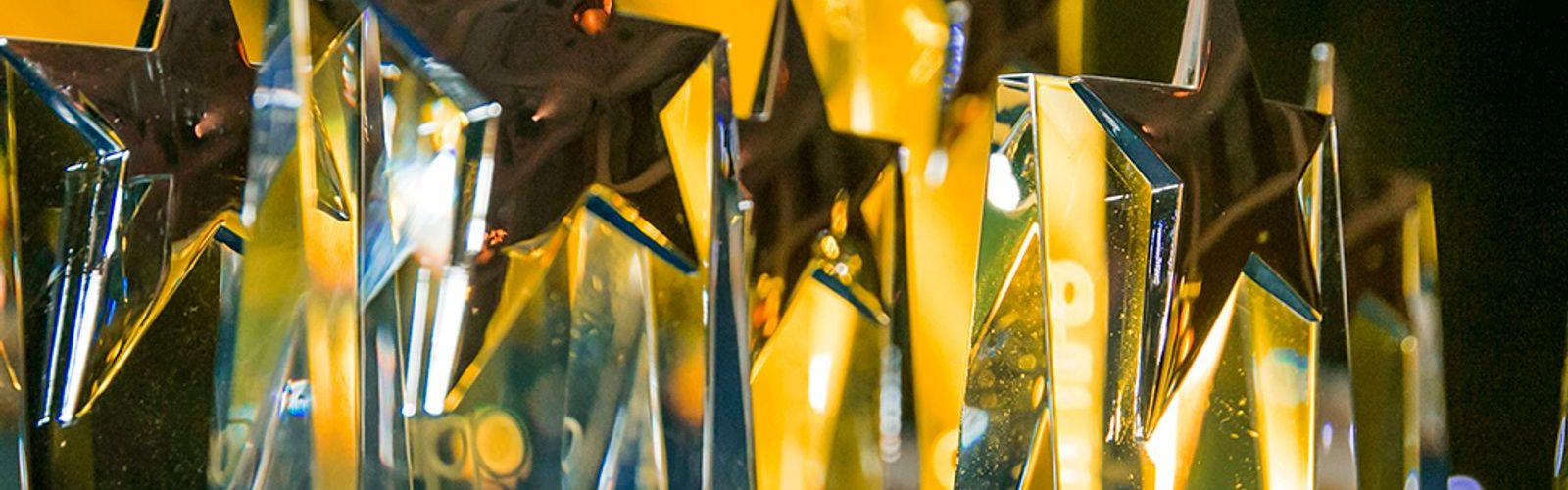 APPC15 Awards (img_2807)_web_small.jpg